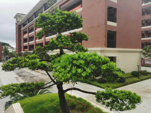 如何提高中學寫作能力
