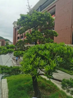 寫好中學composition的三大訣竅