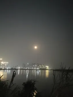 Night Moon .jpg