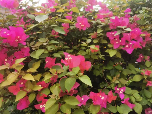 flower 7.jpg